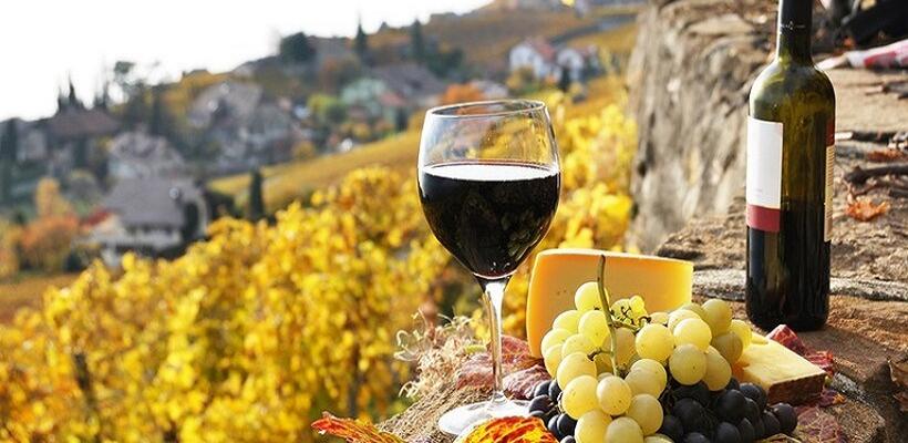 Γαλλία: Στα ιστορικά χαμηλά επίπεδα του 2021, η συγκομιδή σταφυλιών το 2024