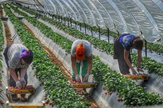 Ποσό $2,2 δισ. έστειλαν τον Φεβρουάριο στη χώρα τους οι Πακιστανοί εργαζόμενοι