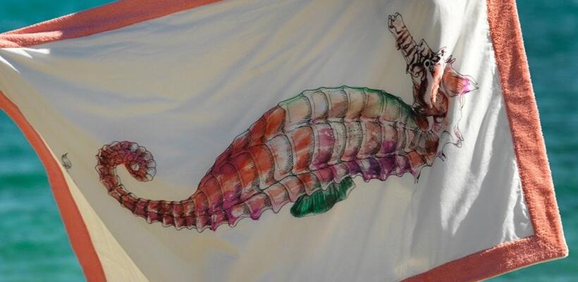 Η Sun of a Beach λανσάρει τη νέα της συλλογή στην Κύπρο