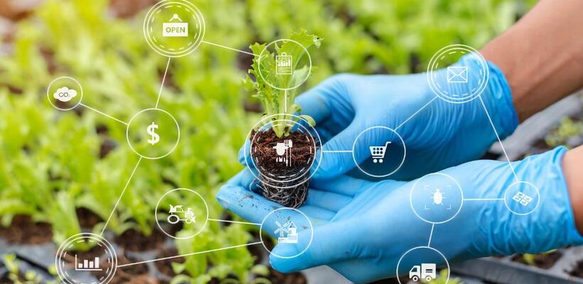 Επένδυση στη Βιοοικονομία για βιώσιμη αγροτική ανάπτυξη