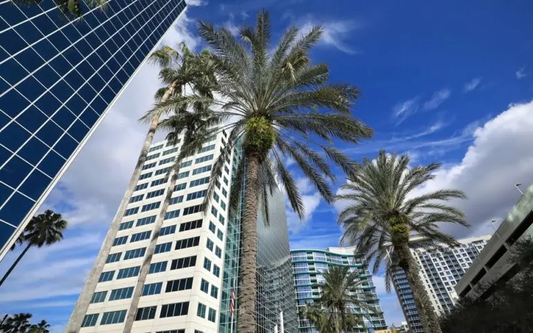 Η χρυσή εποχή των πλούσιων ενοικιαστών