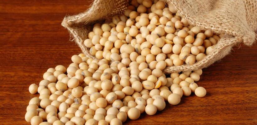 ΕΕ: Αυξήθηκαν οι εισαγωγές σπόρων σόγιας από τις ΗΠΑ
