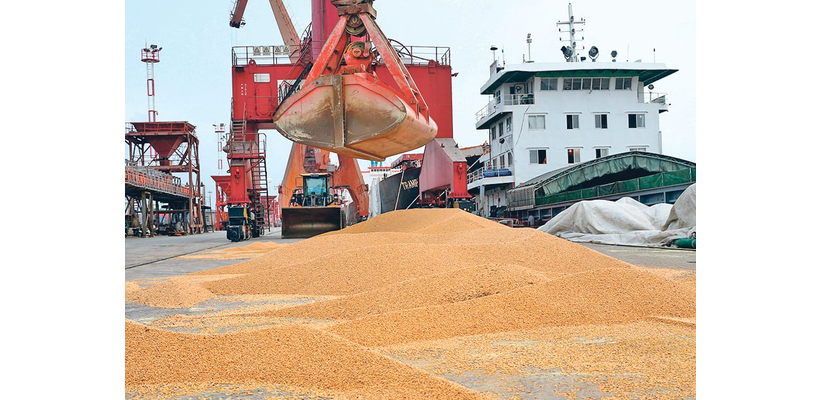 Κίνα: Καλύπτει τη δέσμευση προς τις ΗΠΑ με 12 εκατ. τόνους σόγιας