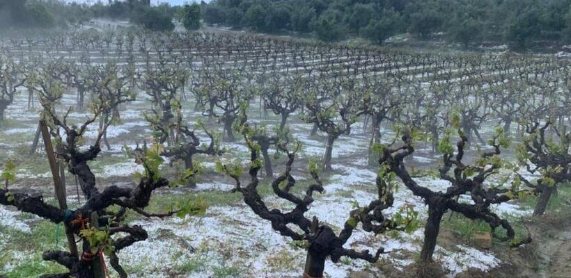 Χορηγίες ύψους €2 εκατ. για θωράκιση καλλιεργειών από χαλάζι και βροχή