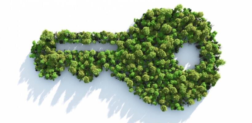 Γιατί οι επιχειρήσεις οφείλουν να επενδύουν στην αειφορία;