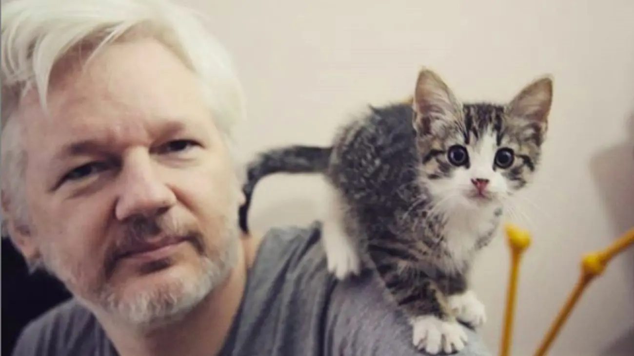 WikiLeaks: Ο γάτος του Ασάνζ είναι ασφαλής