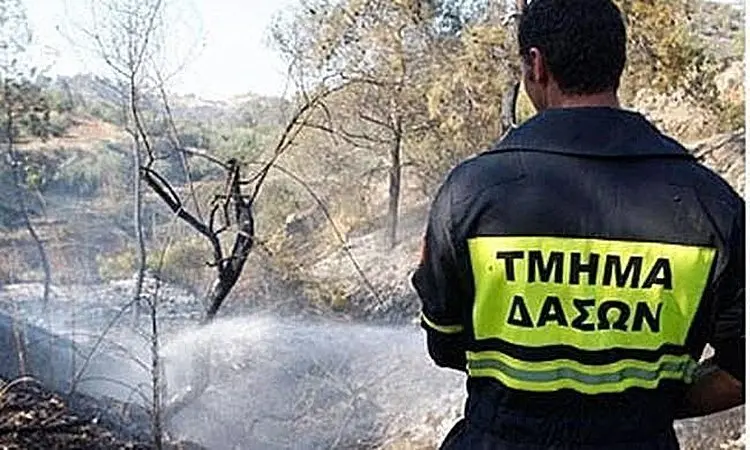 Κοινό μέτωπο συντεχνιών κατά πολιτικών με φόντο το Τμήμα Δασών