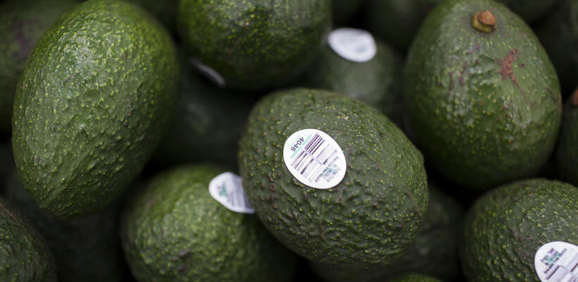 Γιατί το αβοκάντο κερδίζει έδαφος