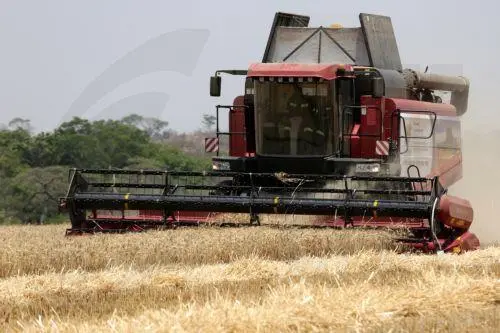 Σε ιστορικό ρεκόρ ο δείκτης τιμών των τροφίμων το 2022