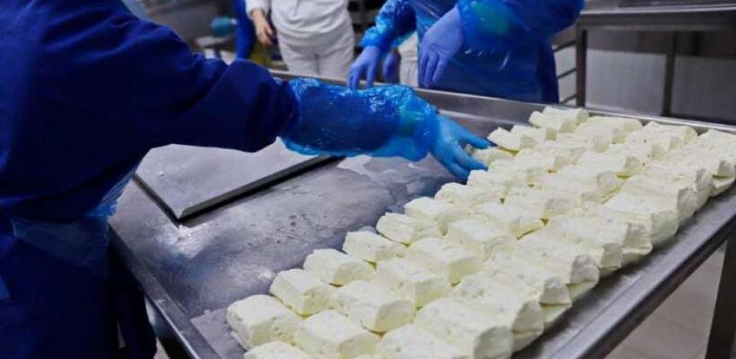 Σύνδ. Τυροκόμων: Τα προϊόντα είναι απόλυτα ασφαλή για κατανάλωση