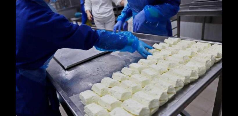 Σύνδ. Τυροκόμων: Τα προϊόντα είναι απόλυτα ασφαλή για κατανάλωση