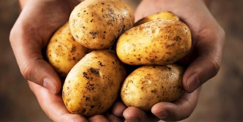 Εκατομμύρια κέρδη από το παραεμπόριο των πατατών