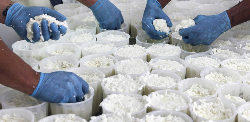 Το χαλούμι κατέλαβε την Βρετανία, την γη του Cheddar και του Stilton