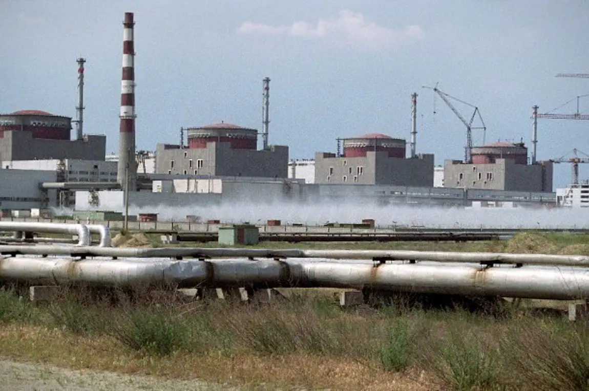 Διακοπή ρεύματος στον πυρηνικό σταθμό της Ζαπορίζια έπειτα από ρωσικό πλήγμα
