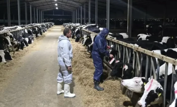 Κτηνοτρόφοι: Επιστολή στον Χριστοδουλίδη για συνάντηση - Θα ζητήσουν τερματισμό θανατώσεων