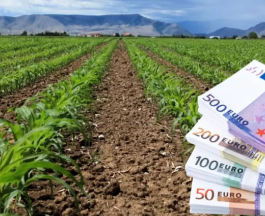 «Πράσινο» Υπουργικού για οικονομική ενίσχυση γεωργών λόγω θεομηνιών