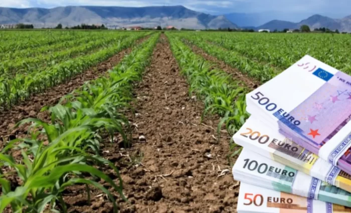 «Πράσινο» Υπουργικού για οικονομική ενίσχυση γεωργών λόγω θεομηνιών