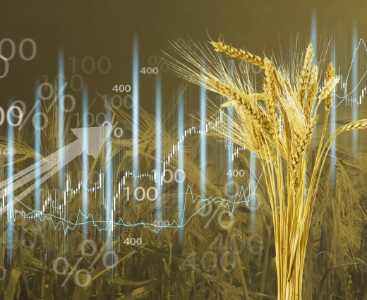 Σιτάρι: Άνοδος στα futures λόγω αβεβαιότητας για την εκεχειρία στη Μέση Ανατολή