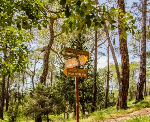 Η Κύπρος στις επιλογές του Travel + Leisure με διαφορετικό «διαβατήριο»