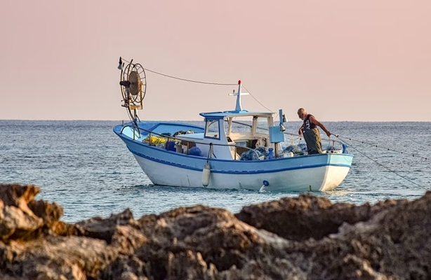 &Sigma;&tau;&omicron; &mu;&iota;&kappa;&rho;&omicron;&sigma;&kappa;ό&pi;&iota;&omicron; &kappa;&upsilon;&pi;&rho;&iota;&alpha;&kappa;ά &alpha;&lambda;&iota;&epsilon;&upsilon;&tau;&iota;&kappa;ά &sigma;&kappa;ά&phi;&eta; &sigma;&epsilon; &chi;ώ&rho;&epsilon;&sigmaf; &epsilon;&kappa;&tau;ό&sigmaf; &Epsilon;&Epsilon; &alpha;&pi;ό &tau;&eta;&nu; Oceana