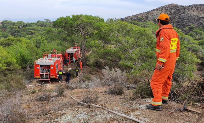 20 κενές θέσεις εργασίας Α5 κλίμακας στο Τμήμα Δασών