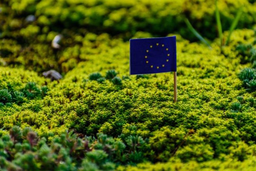 ΕΕ: Κονδύλια ύψους €100 δις για μία πιο "πράσινη" Ευρώπη | Economy Today