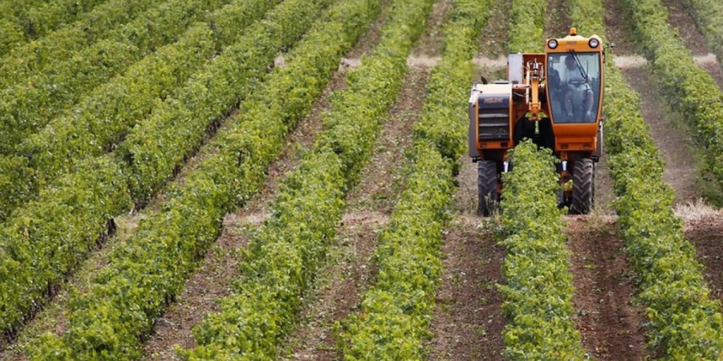 Με €4,5 εκατ. θα αποζημιωθούν οι αγρότες για τις ζημιές σε καλλιέργειες