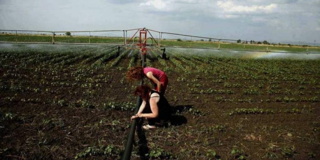 Σεμινάρια για αγρότισσες διοργανώνει το Υπουργείο Γεωργίας