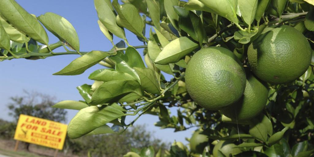 Ο Καναδάς μελετά αντίποινα και επιβολή δασμών σε αμερικανικά προϊόντα