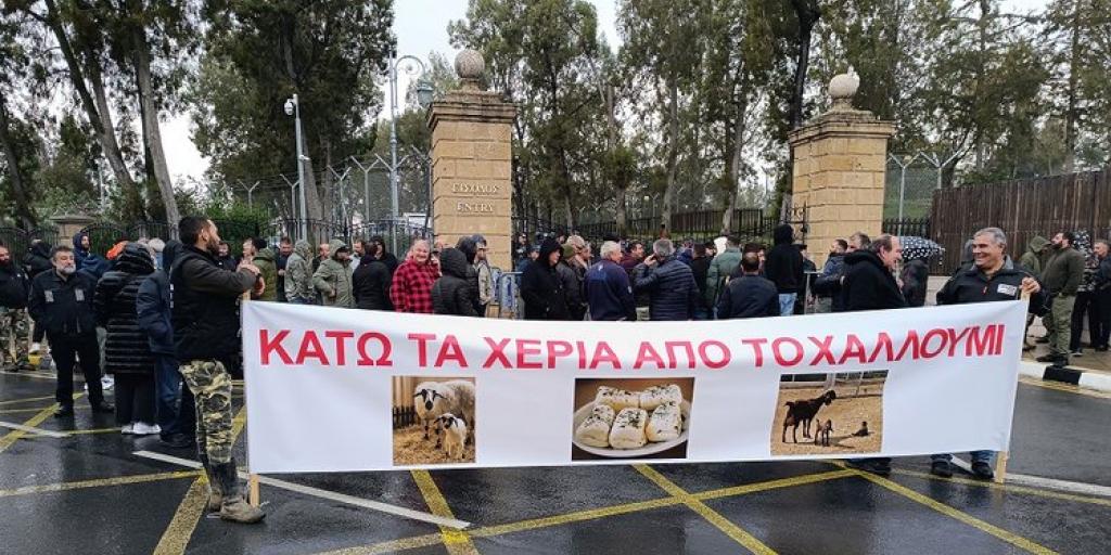 Αιγοπροβατοτρόφοι ζητούν οδικό χάρτη για το χαλλούμι, προειδοποιούν με κινητοποιήσεις