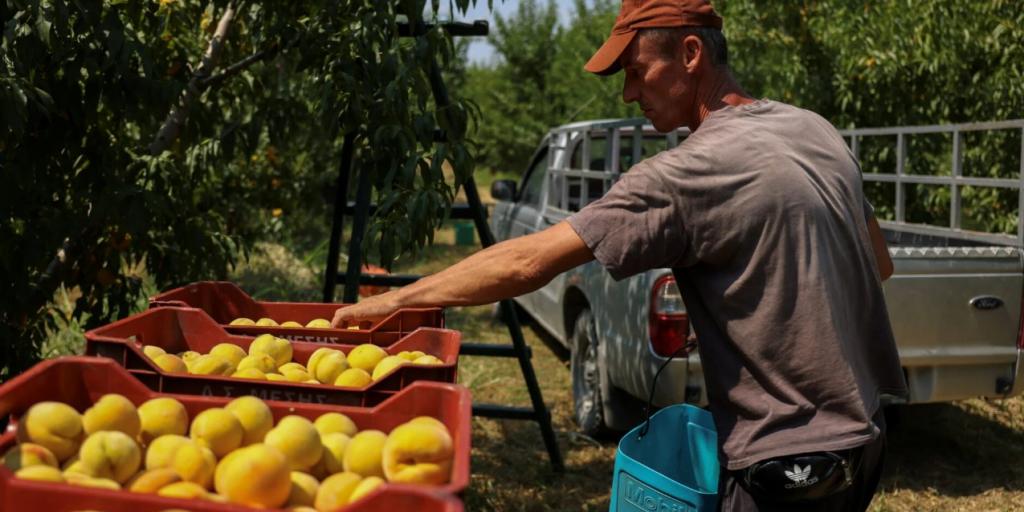 Γιατί η αντι-αγροτική πολιτική της Κομισιόν θα αυξήσει τις τιμές των τροφίμων