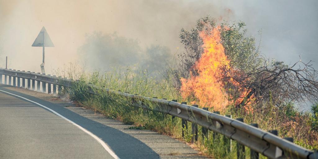 Στήριξη στους πυρόπληκτους από κοινωνικούς εταίρους – Πρόσφεραν τα αναπαυτήρια τους ΠΕΟ και ΣΕΚ