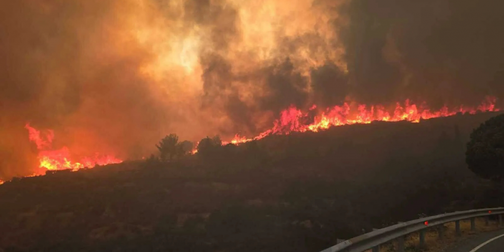 Στο πλευρό των πυρόπληκτων ο ΠΑΣΥΞΕ – Δωρεάν φιλοξενία σε ξενοδοχεία