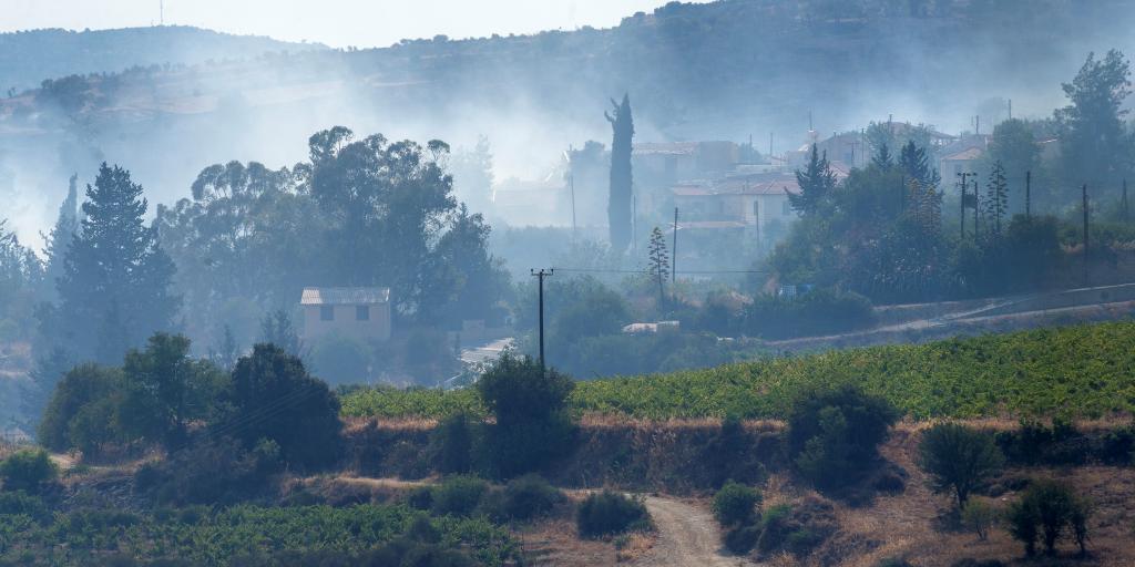 Αποζημιώσεις για καλλιέργειες «συντομότερα απ’ ότι συνήθως» ο στόχος του Τμ. Γεωργίας Αποζημιώσεις για καλλιέργειες «συντομότερα απ’ ότι συνήθως» ο στόχος του Τμ. Γεωργίας