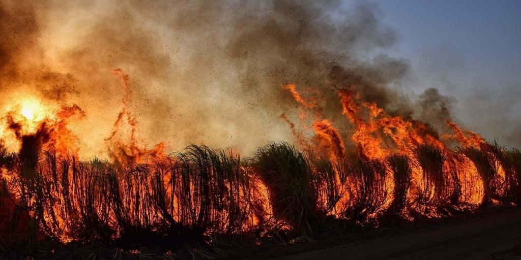 Η τεχνητή νοημοσύνη στη μάχη κατά των δασικών πυρκαγιών