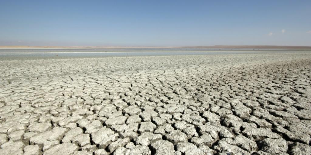 Τεχνητή νοημοσύνη: Πώς επιδεινώνει τη λειψυδρία στην ΕΕ