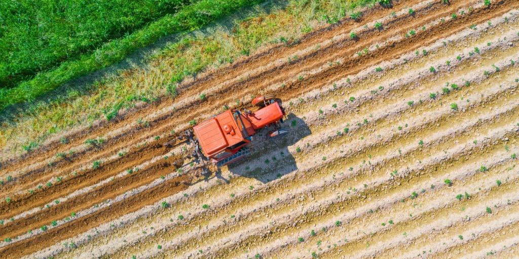 FAO: Καμπανάκι για την υποβάθμιση της γης – Πλήγμα για 1,7 δισ. ανθρώπους