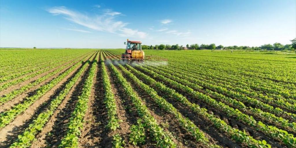 €439.068,60 δόθηκαν από τον ΚΟΑΠ στους αμπελοκαλλιεργητές