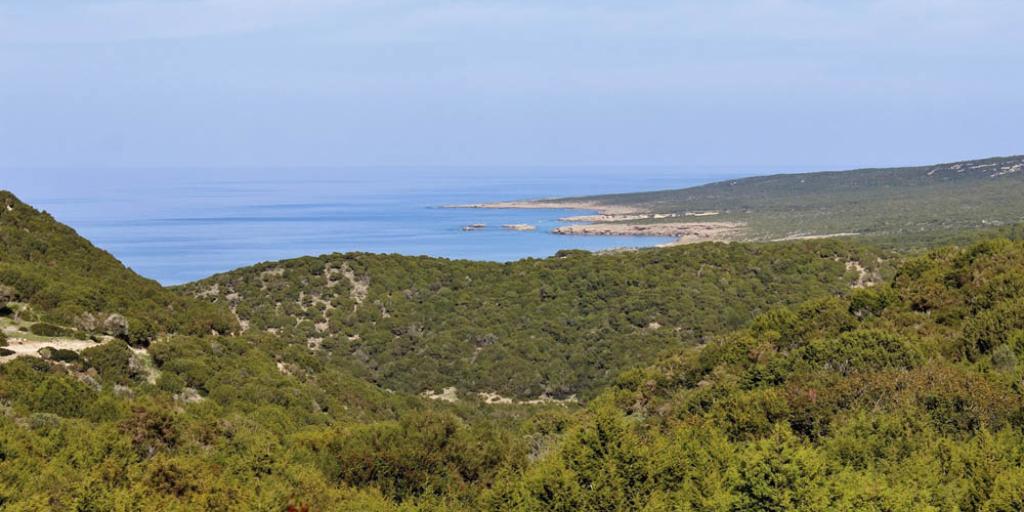 €1,27 εκατ. για έργα που προστατεύουν και αναδεικνύουν τα δάση της Κύπρου