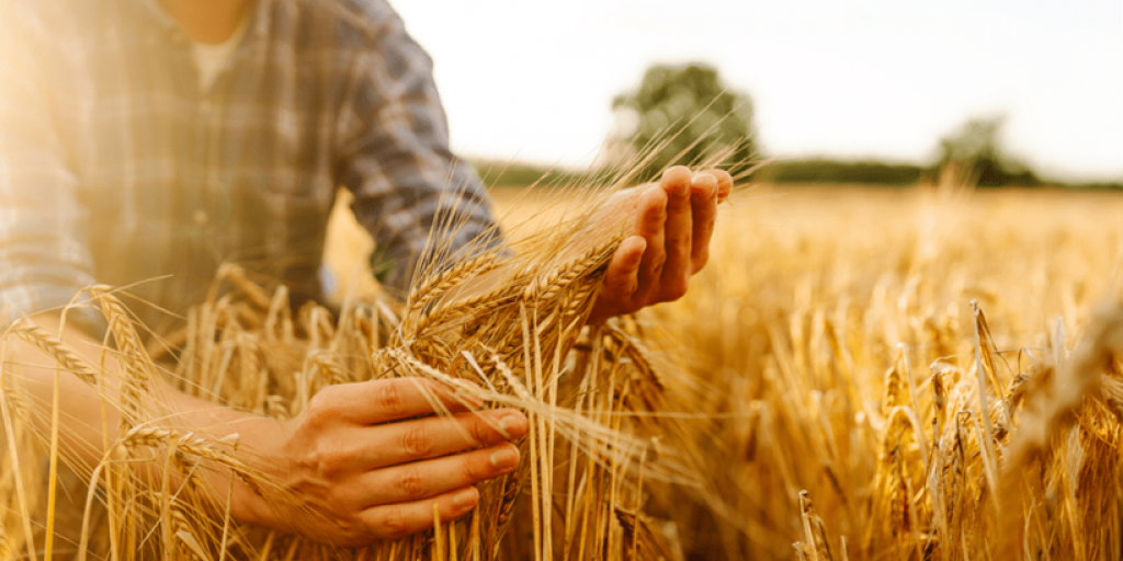 Πώς θα ανοίξει ο δρόμος για την επόμενη γενιά αγροτών της Ευρώπης